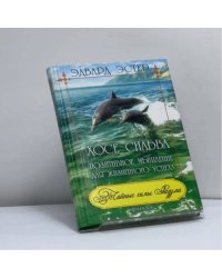 Х. Сильва. Позитивное мышление для жизненного успеха