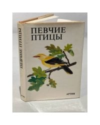 Певчие птицы
