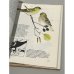 Дополнительное изображение книги «Певчие птицы»