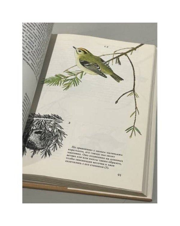 Дополнительное изображение книги «Певчие птицы»