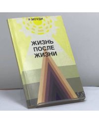 Жизнь после жизни