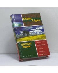 Удерживая Видение. Практический путеводитель по Десятому пророчеству