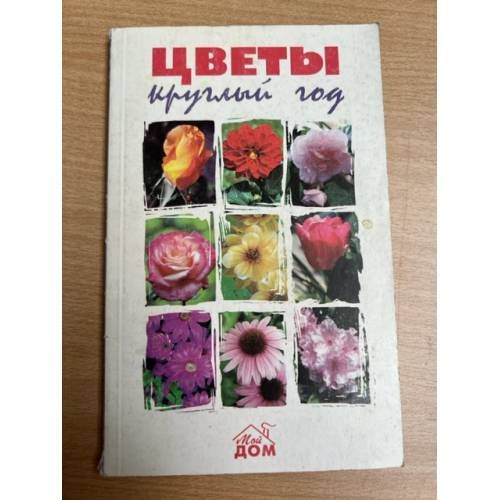 Цветы круглый год