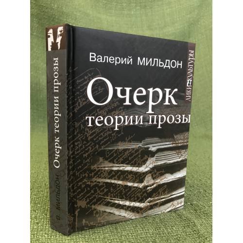 Очерк теории прозы