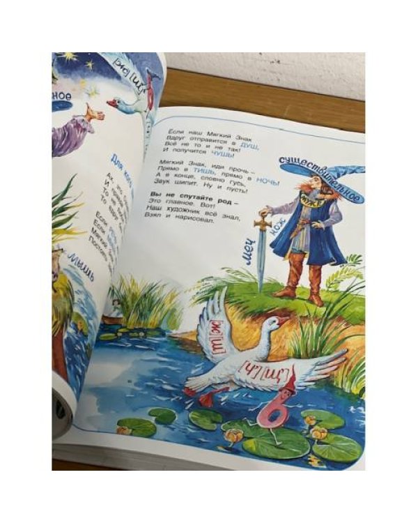 Дополнительное изображение книги «Правил легче нет на свете!»