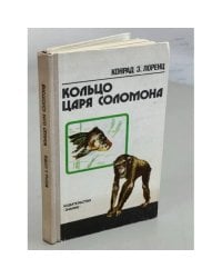 Кольцо царя Соломона