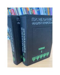 В лесах. В двух книгах