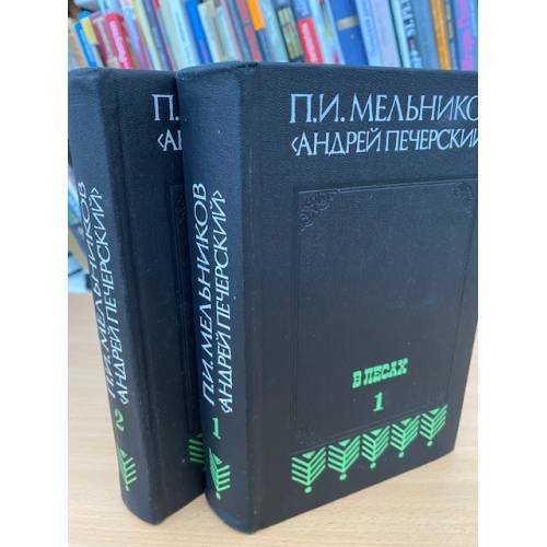 В лесах. В двух книгах