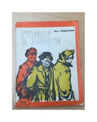Гнездо в соборе