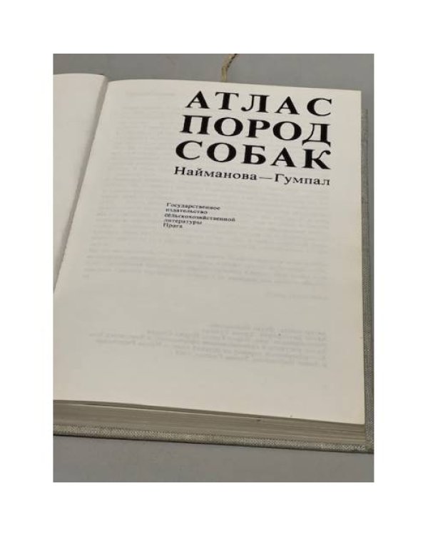 Дополнительное изображение книги « Атлас пород собак »