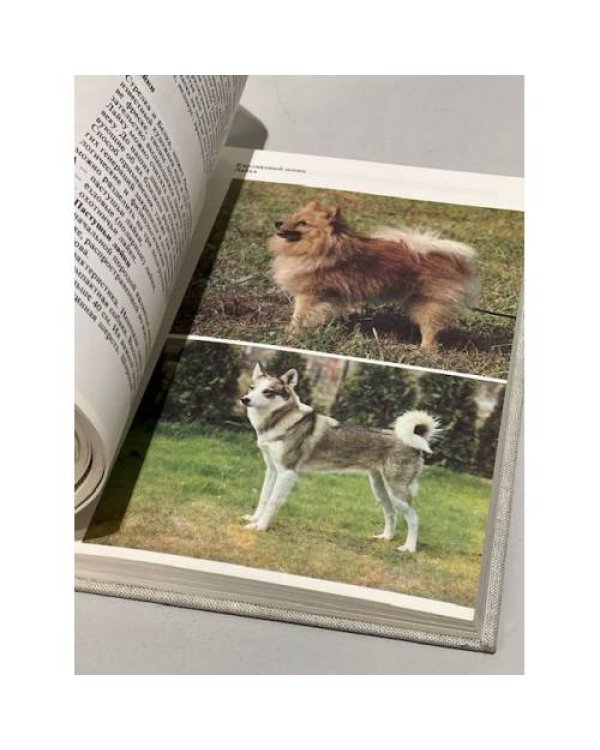 Дополнительное изображение книги « Атлас пород собак »