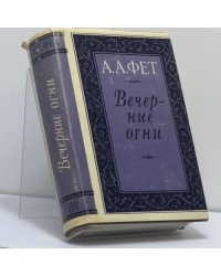 Вечерние огни