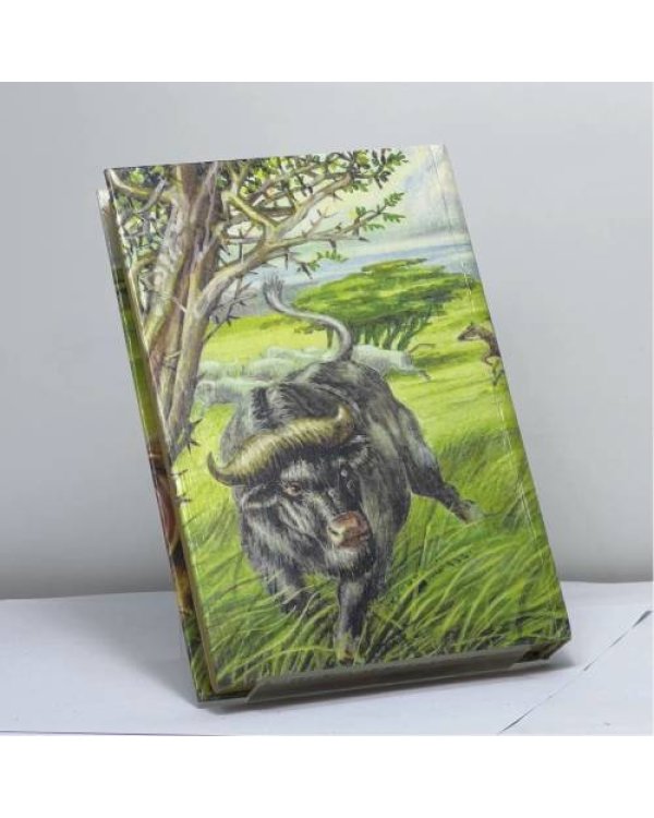 Дополнительное изображение книги «Охотники за жирафами. Переселенцы Трансвааля»