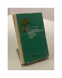 Школьный фразеологический словарь русского языка