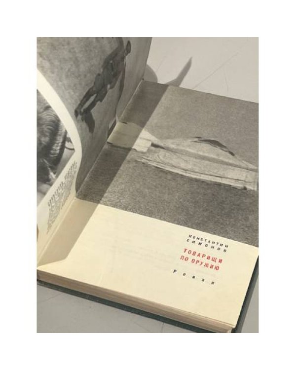 Дополнительное изображение книги «Товарищи по оружию»