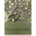 Дополнительное изображение книги «Иван Бунин. Детство »