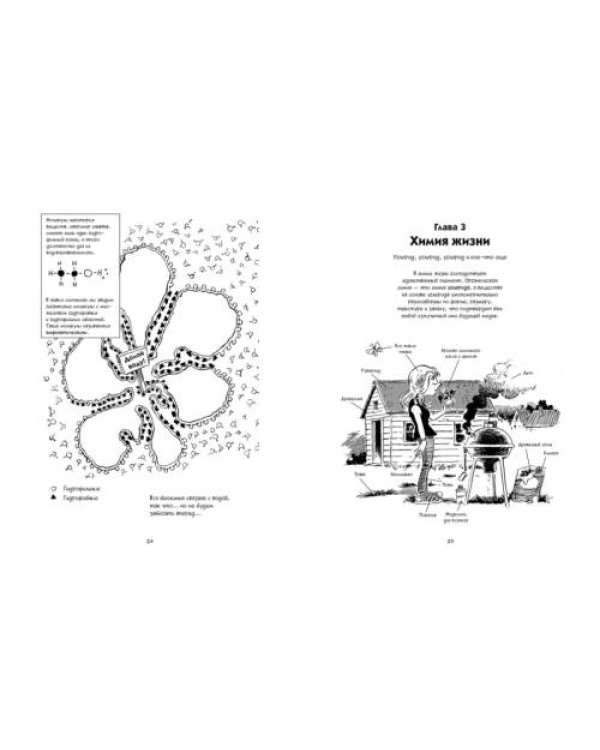 Дополнительное изображение книги «Биология Краткий курс в комиксах»