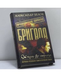 Бригада. От сумы до тюрьмы. Книга 10