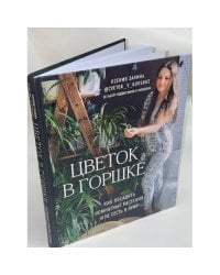 Цветок в горшке. Как посадить комнатные растения и не сесть в лужу