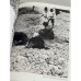 Russland 1904 - 1924. Eine historische Foto-Reportage 