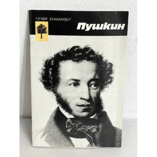 Обложка книги «Пушкин (семья художника)» — Минина А.И.