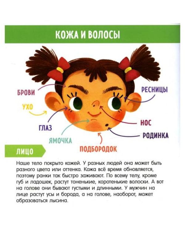 Дополнительное изображение книги «Найди и покажи, малыш. Мое тело»