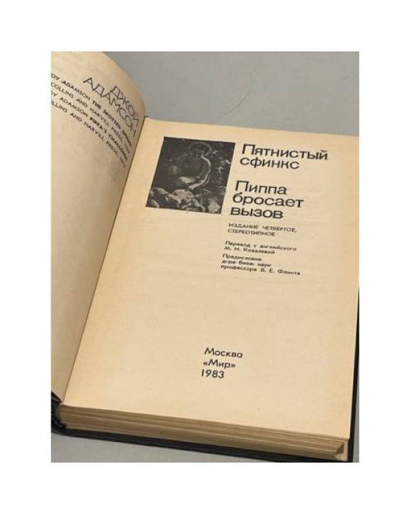 Дополнительное изображение книги «Пятнистый сфинкс. Пиппа бросает вызов»