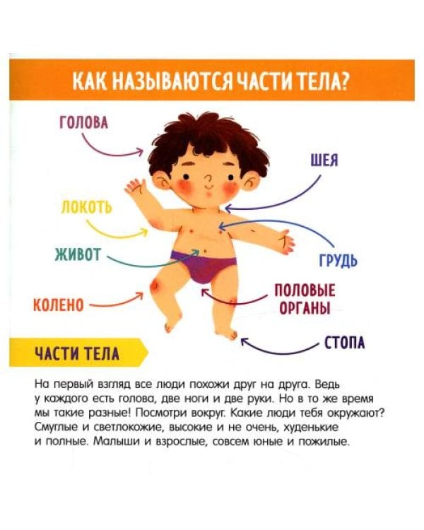 Дополнительное изображение книги «Найди и покажи, малыш. Мое тело»