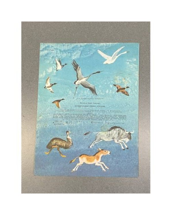 Дополнительное изображение книги «Удивительная страна Аскания — рассказ детям о заповеднике»