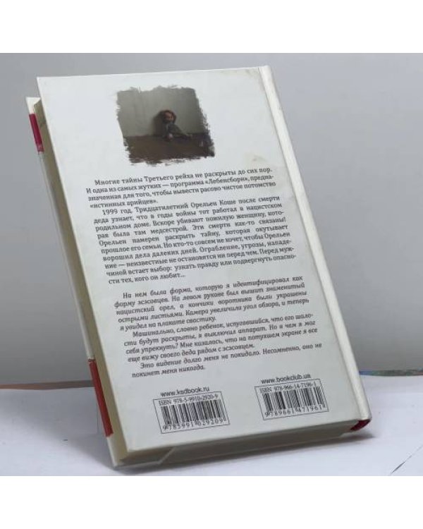 Дополнительное изображение книги «Холод пепла»