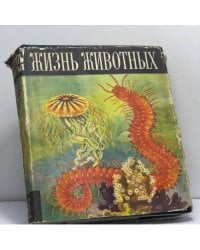 Жизнь животных. В шести томах. Том 1