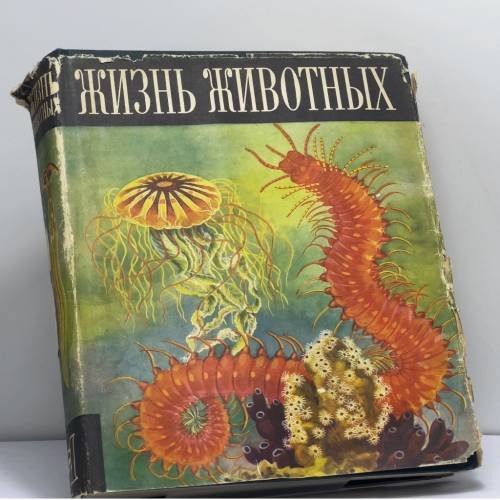 Обложка книги «Жизнь животных. В шести томах. Том 1» — Автор не указан