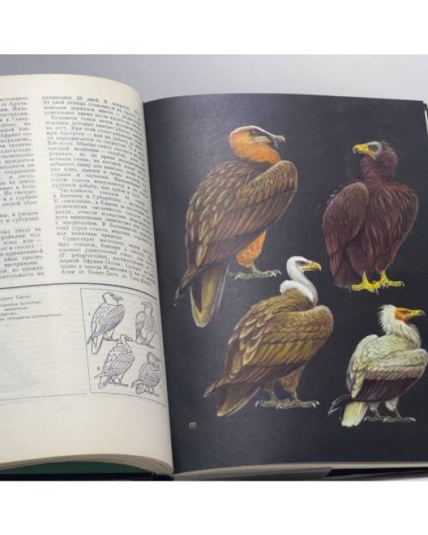 Дополнительное изображение книги «Жизнь животных в шести томах. Том 5»