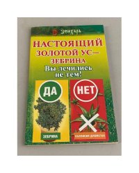 Настоящий золотой ус - зебрина. Вы лечились не тем!