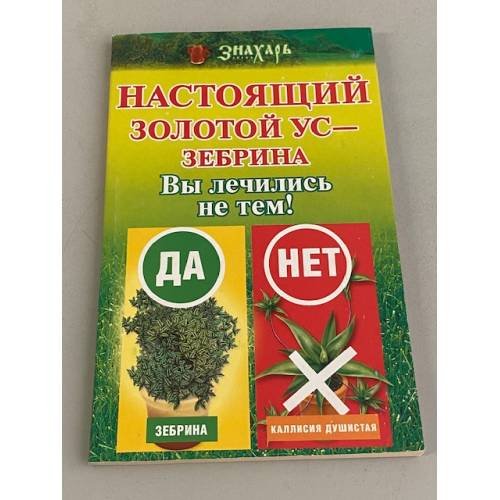 Настоящий золотой ус - зебрина. Вы лечились не тем!