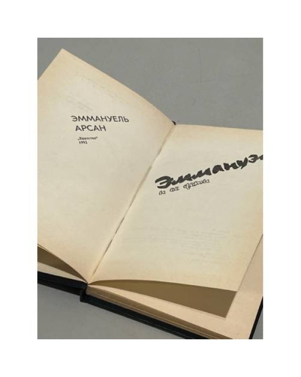 Дополнительное изображение книги «Эммануэль и ее дети»