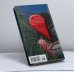 Дополнительное изображение книги «Клеймо зверя. Портрет Дориана Грея»