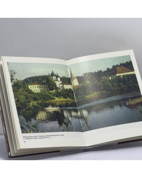 Дополнительное изображение книги «Гороховец»