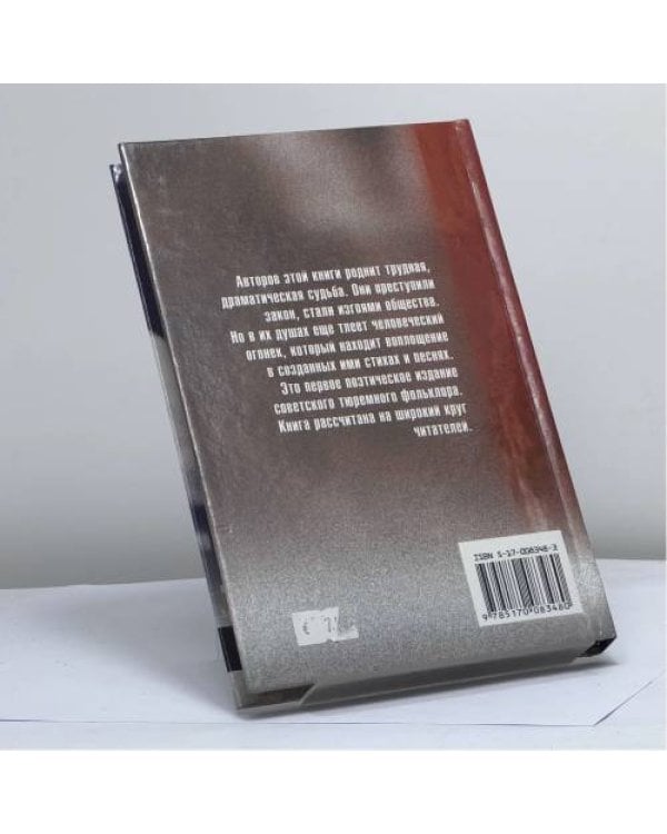 Дополнительное изображение книги «Российские вийоны»