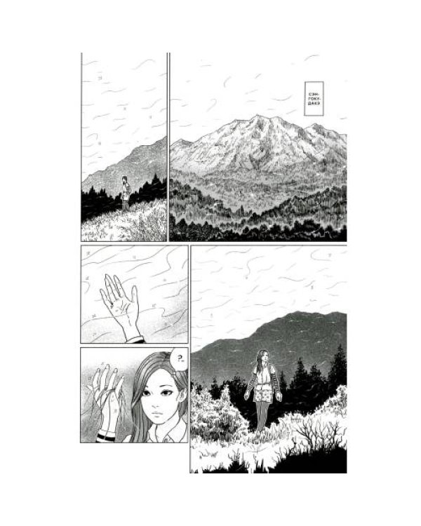 Дополнительное изображение книги «Сенсор»