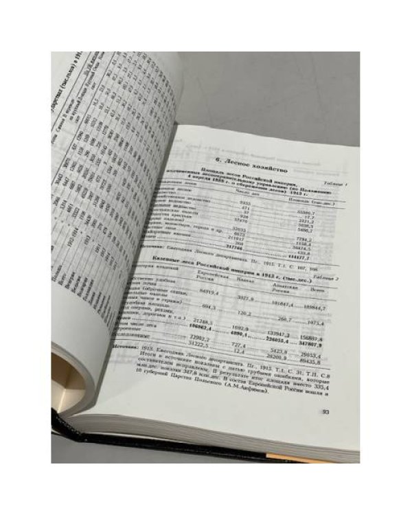 Дополнительное изображение книги «Россия 1913 год. Статистико-документальный справочник»
