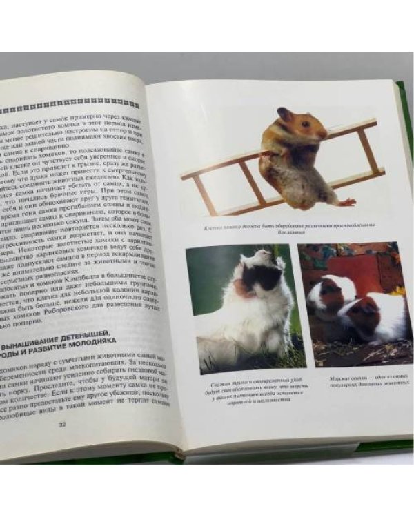 Дополнительное изображение книги «Декоративные грызуны»
