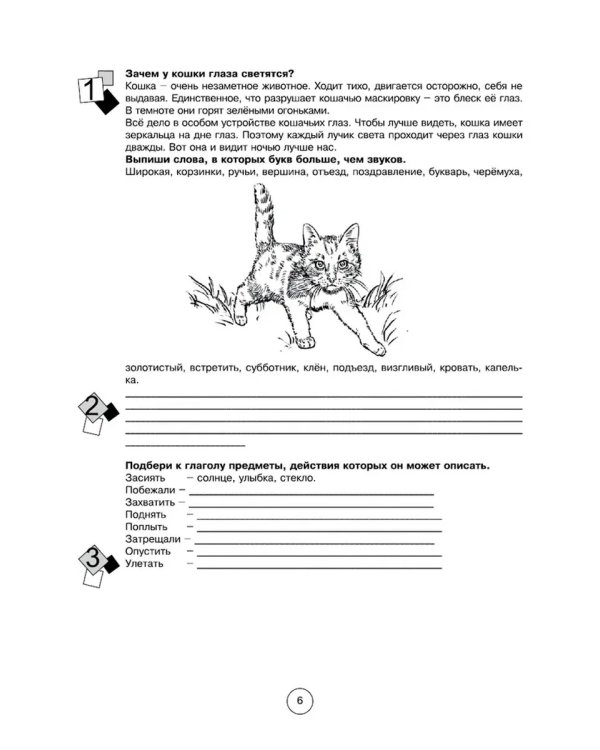 Дополнительное изображение книги «Занимательная летняя школа 4-5 класс (4 предмета)»