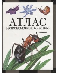 Беспозвоночные животные: атлас (2-е, стереотипное)
