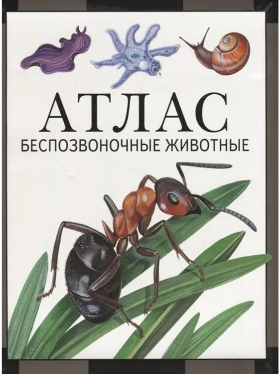 Обложка книги «Беспозвоночные животные: атлас (2-е, стереотипное)», ISBN 9785443943671