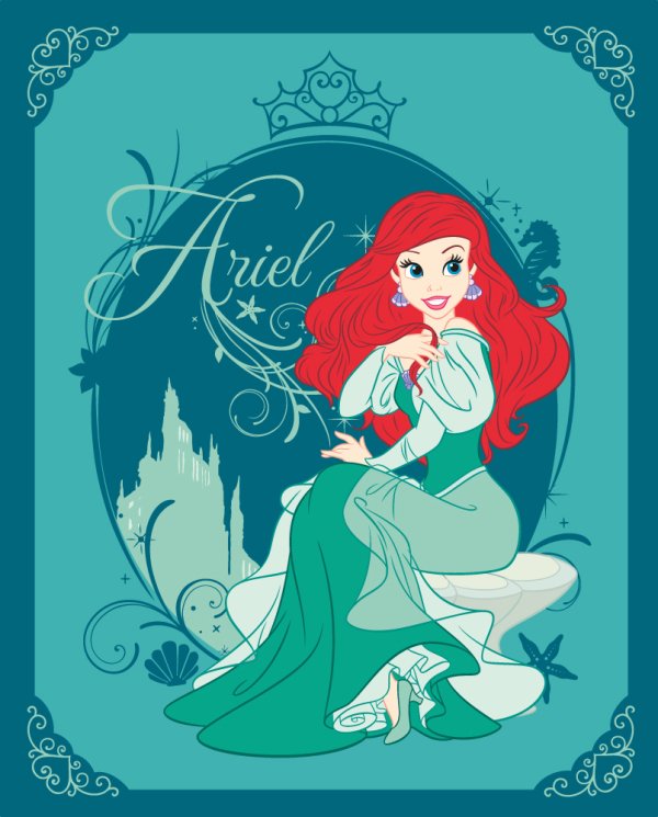 Обложка книги «Faro Tekstylia Princeses Детский плед 120x150 см»