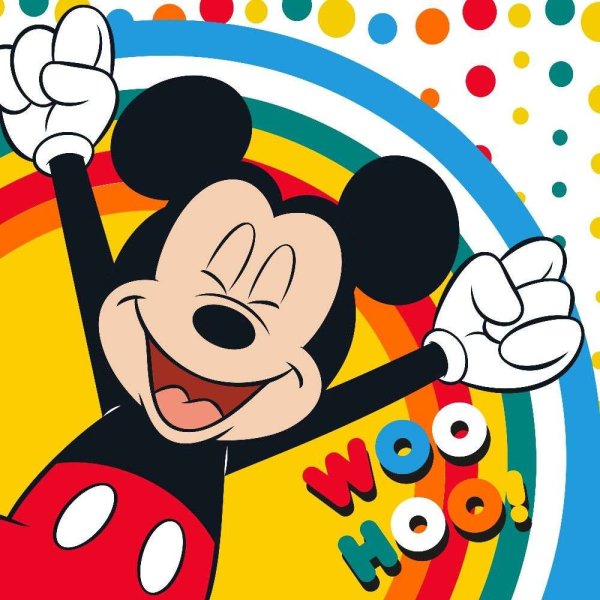 Faro Tekstylia Towel Disney Art.041 Детское хлопковое полотенце 100% хлопок 30х30cm