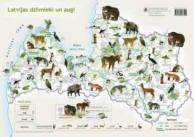 Таблица прокладочного Латвийский dzīvn.un растение Таблица прокладочного Латвийский dzīvn.un растение