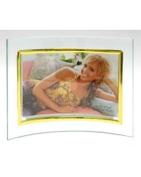 Фотографическое стекло h Silver 10 15