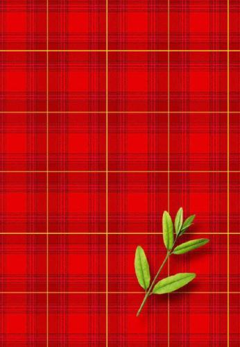 Squared ноутбук, A5 / 200 страниц, твердый переплет